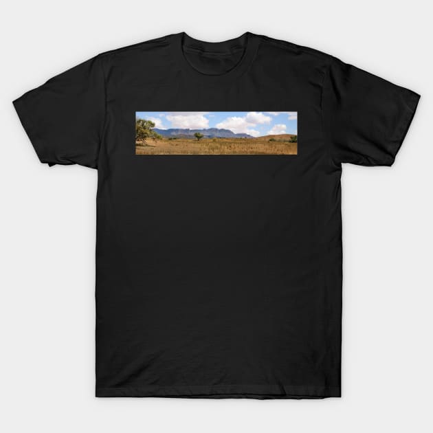 Arkaba Homestead & Elder Range Panorama T-Shirt by Carole-Anne